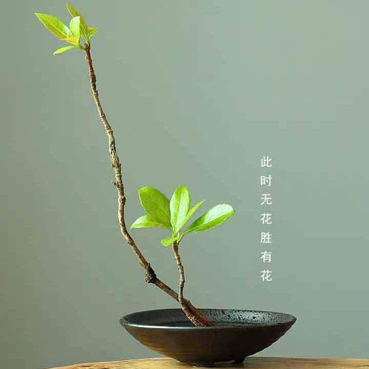 剑山插花器皿花盆小原流