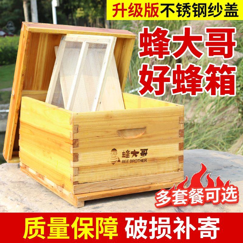 蜂大哥活底蜜蜂中箱杉木