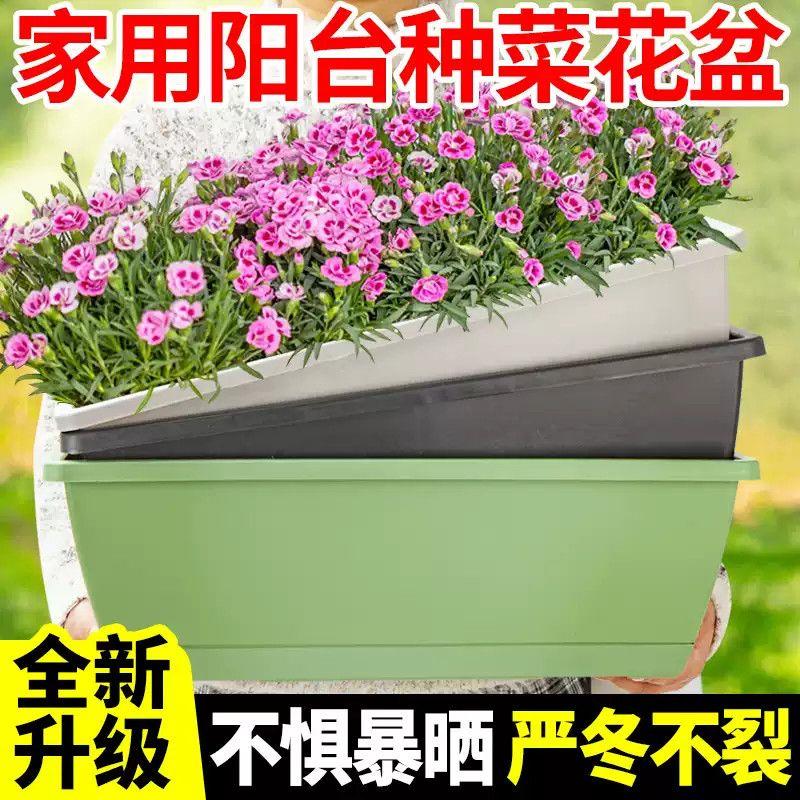 阳台种菜盆神器塑料家庭