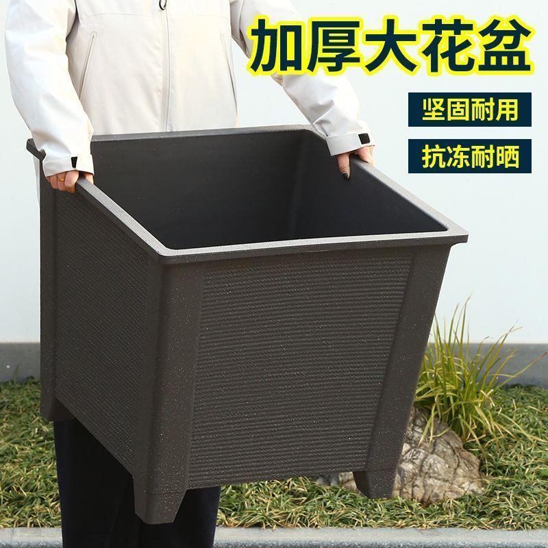 户外庭院专用特大口径花