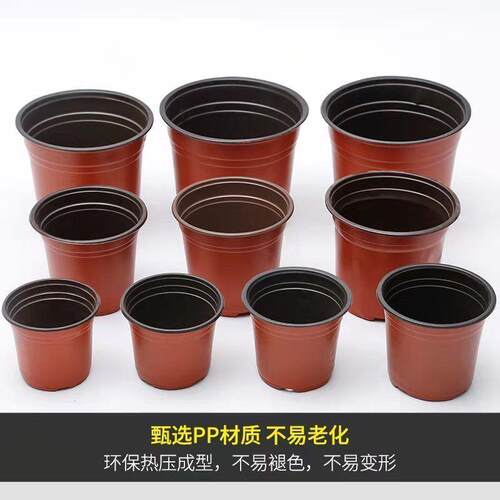 特厚加厚双色盆育苗盆简