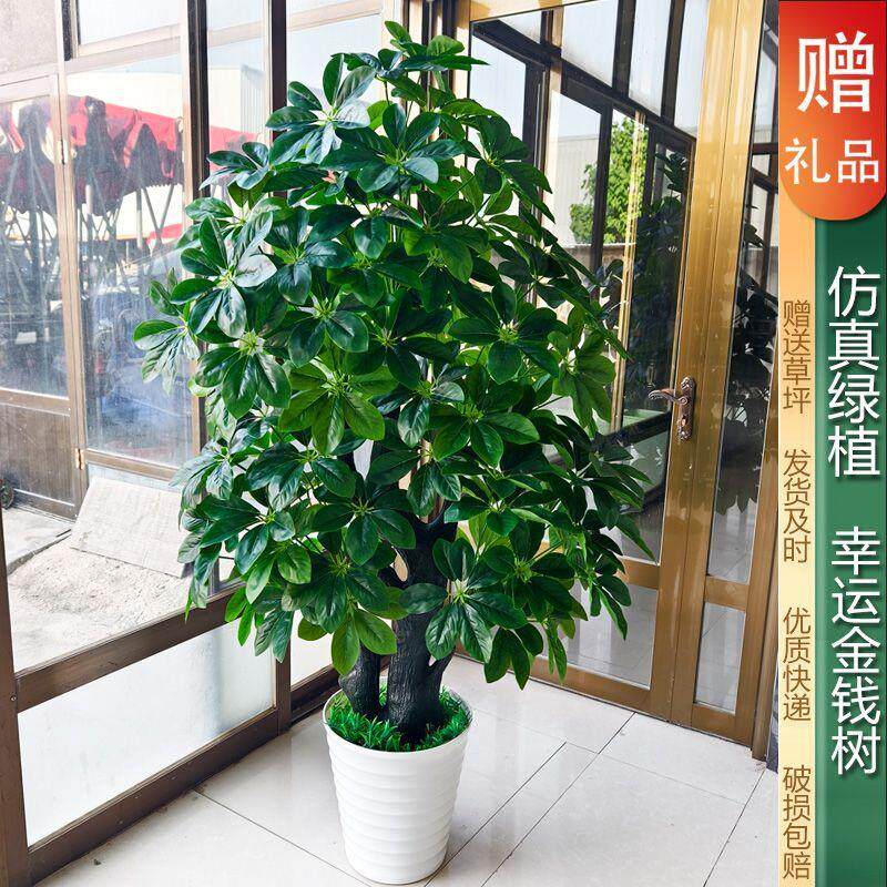 仿真假树金钱树客厅大型