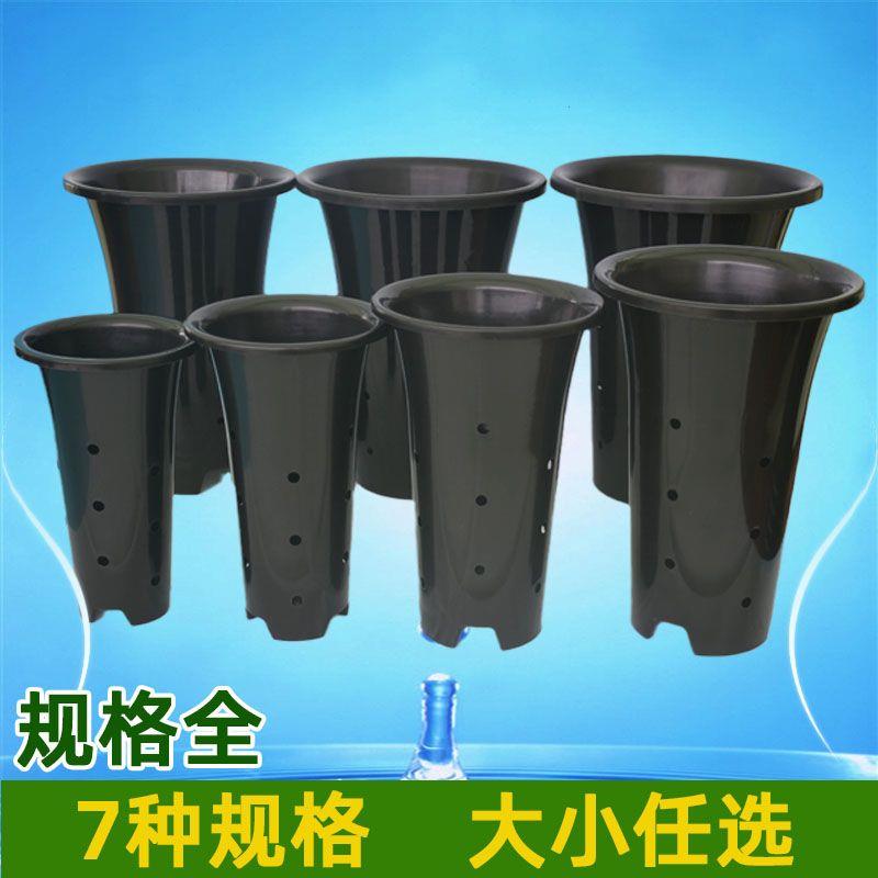 超大号塑料兰花专用盆高