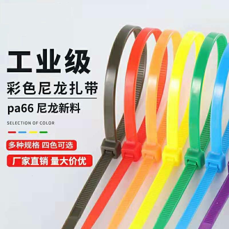 国标足数自锁式尼龙扎带