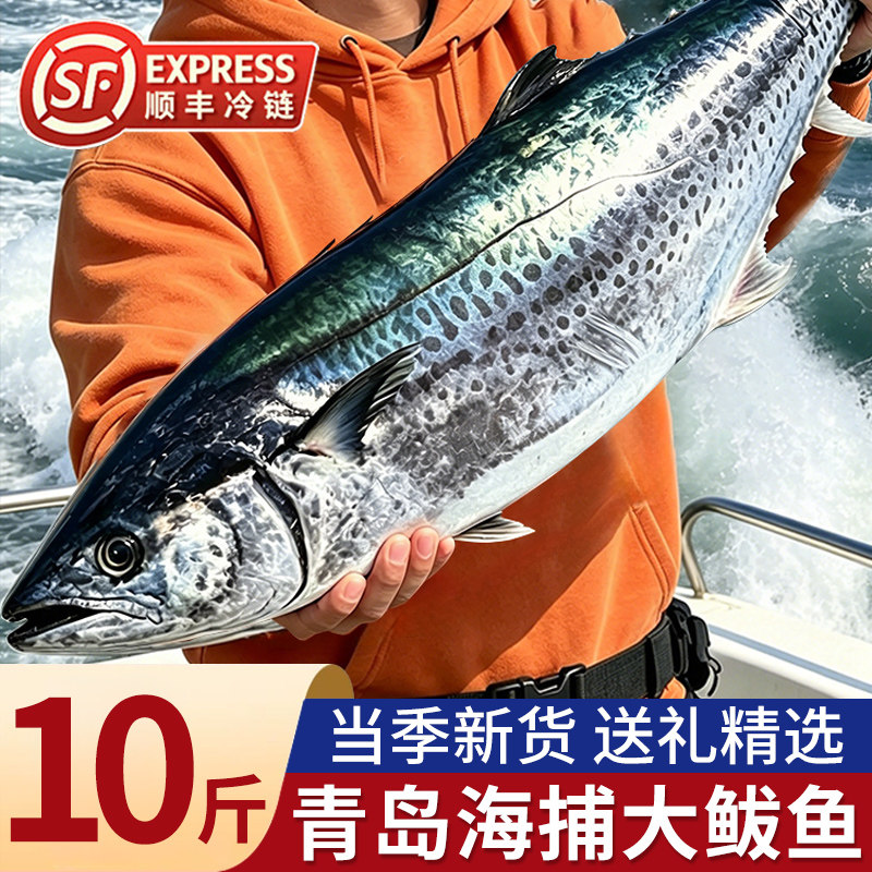 大鲅鱼青岛正宗本地海捕整条新鲜