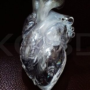 3d打印透明水晶心脏模型左心房右心脏肝脏肾脏胃部子宫医学定制