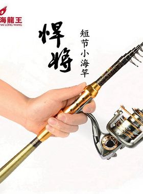 海龙王悍将短节小海竿 1.8-3.0米碳素超硬超短远投竿抛竿海杆套装