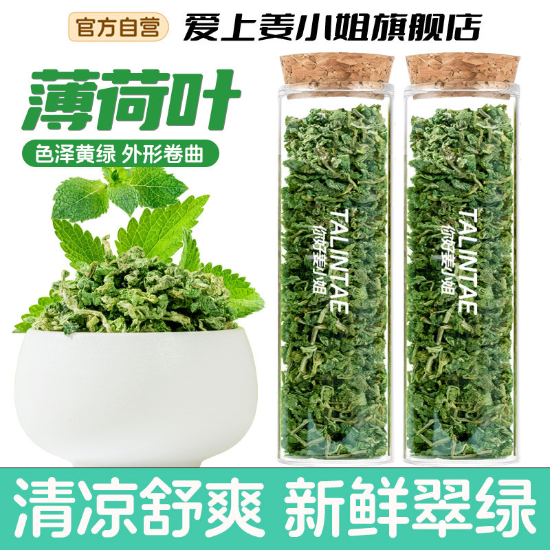 薄荷茶叶干薄荷叶新鲜可食用泡茶代用/花草茶