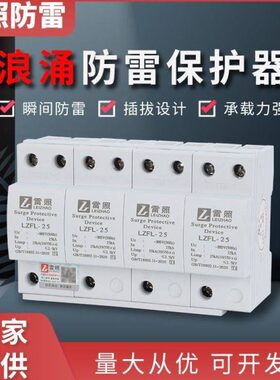 一级防浪涌保护器4P25KA三相385V电源避雷抑制SPD10350us