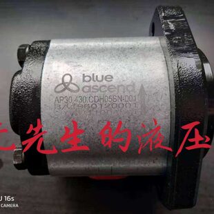 BLUE AP30.400.CDH05SN.001 ASCEND齿轮泵AP30.430.CDH05SN.001