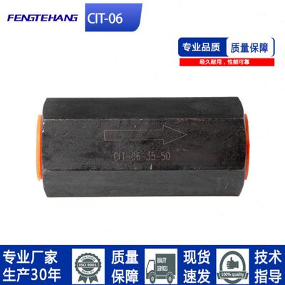 FTH油研款单向阀止回阀油压直通管式逆止阀CIT-06 02 04 03 08 10