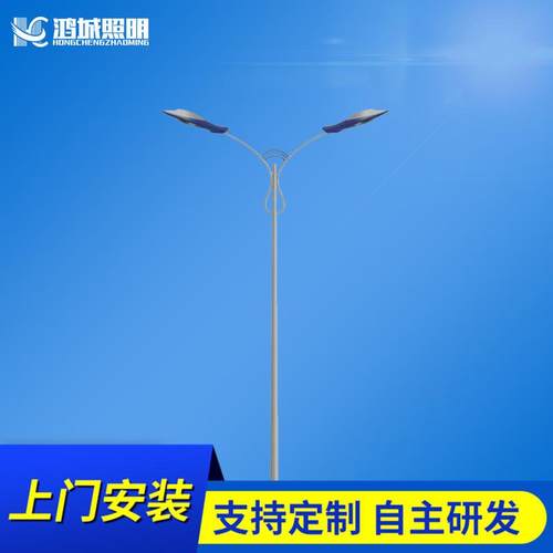 定制路灯杆LED海螺型单臂照明路灯分体式道路6米10米高灯杆厂家