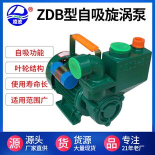 牌1寸ZDB-65小型家用旋涡式自吸高压水泵750W自吸旋涡清水泵