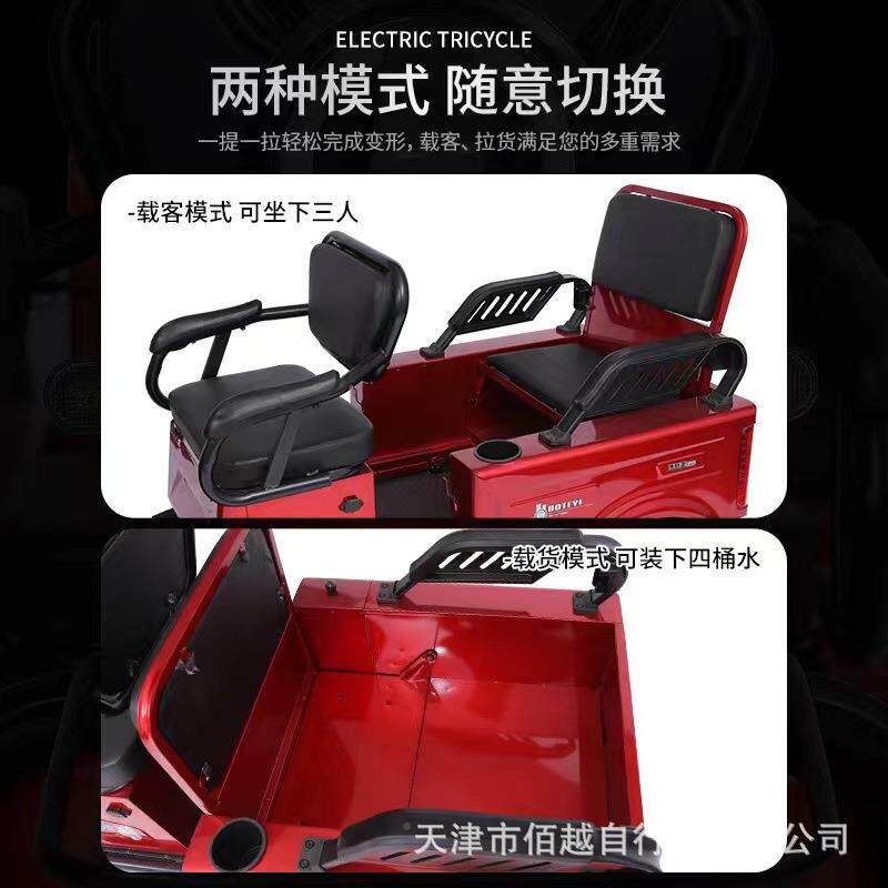 新三国老标可上牌电动轮车代步国标小斗人载货标电动车家用电瓶车