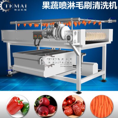 东北土豆干洗机 平行毛刷清洗设备 全自动球茎蔬菜毛棍清洗机