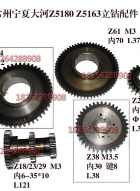 大河常州Z5180Z5163立钻配件齿轮Z61齿Z48齿z18/23/29齿z24齿Z38