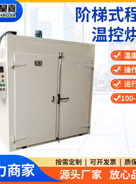 SCR可控硅编程烘箱 300℃程控阶梯烘干箱 曲线升温干燥箱温度均匀