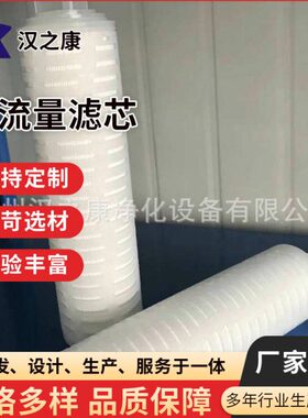 过滤器PVDF膜折叠芯片 裙边折叠芯片微孔膜滤芯 PTFE除菌滤芯