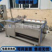 多功能毛刷辊清洗机芋头土豆自动清洗脱皮机烧毛羊头羊蹄洗黑炭