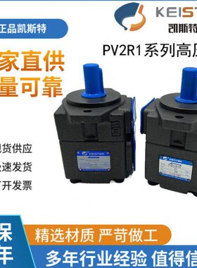 浙江凯斯特KEISTER叶片泵 PV2R1-10/12/14/17/19/23/25/28/-31FR