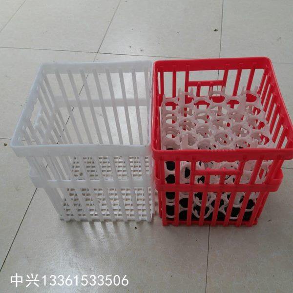 周转种蛋箱 运输鸡蛋筐 加厚防雨蛋筐,农机/农具/农膜,农用防护器具,淘宝优惠券,粉丝福利购,淘宝优惠卷