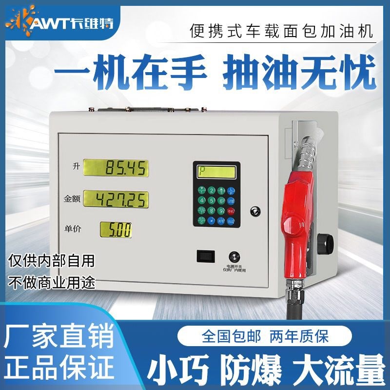 设备加油220V计量汽油抽油泵表柴油全自动加油机小型12V车载24V