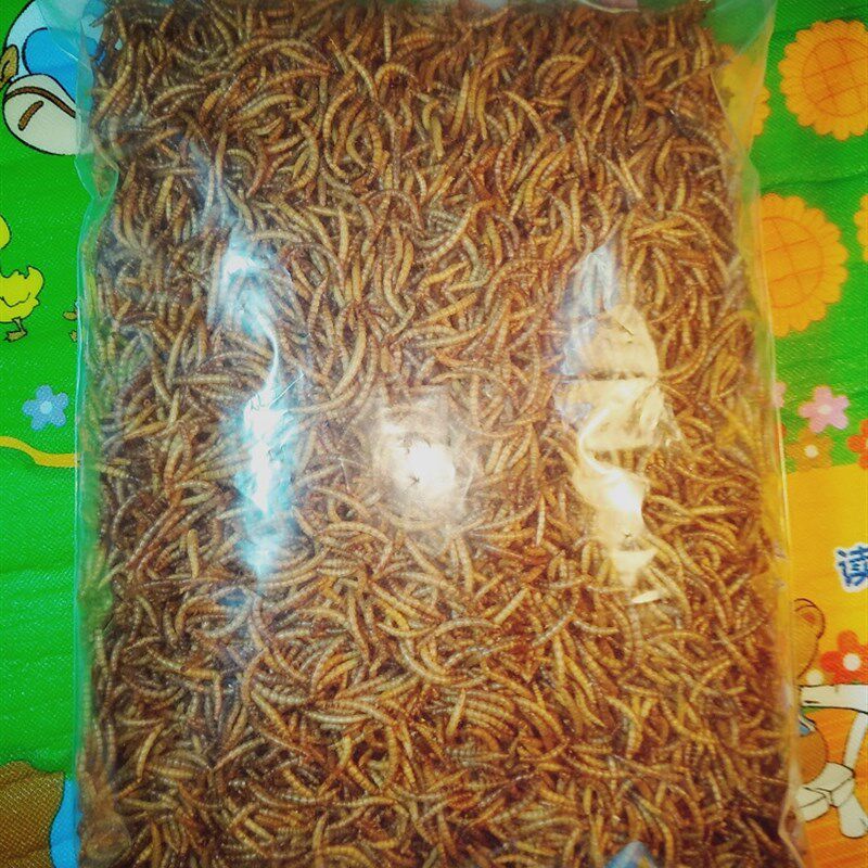 黄粉虫干面包虫干仓鼠零食金丝熊变色龙刺猬粮食画眉八哥食5千克