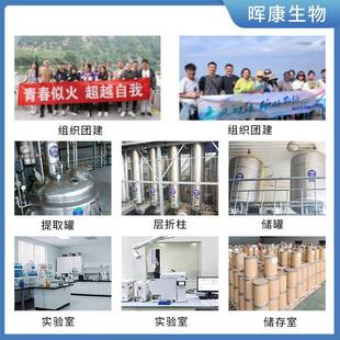 金花碱98%510碱金雀花酮乌乐碱雀金雀花提取物多规格供应