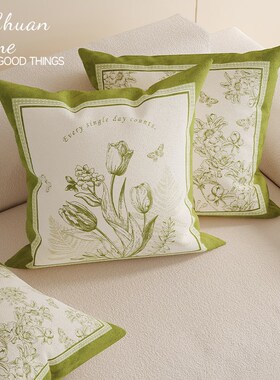 简约绿色客厅沙发抱枕轻奢法式高级感床上靠枕床头靠垫Y含芯抱枕
