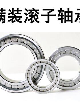 哈尔滨满装圆柱滚子轴承 SL045005 SL045006 SL045007 SL045008