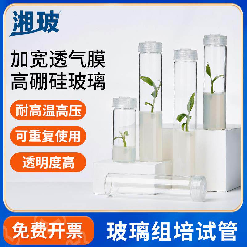 湘玻玻璃组培试管高硼硅耐高温菌种瓶初代培养组培专用带透气盖