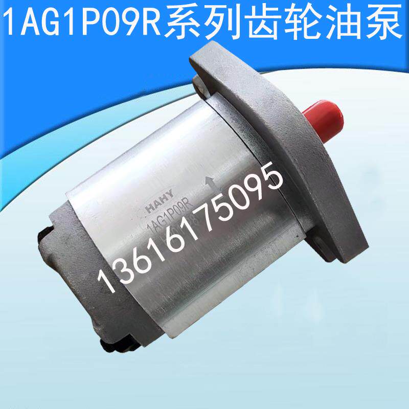液压油泵1AG1P02R/02R/03R/04R/0R5/06R/07R/08R/09R HONOR齿轮泵