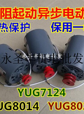 YUG7G24兴成电机YU18014冲床马达YUG2084电阻起动异步电动机
