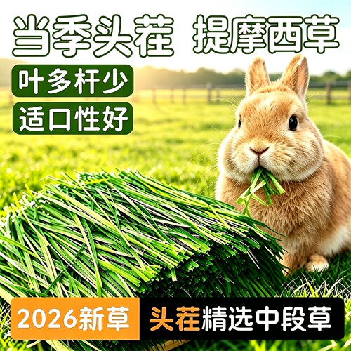 26年头茬高品质晒干牧草兔子爱吃