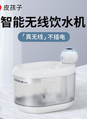 饮物智能宠水机猫咪狗狗流动水喝水自动循环不音滤芯静插电