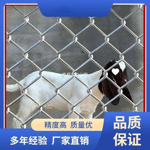 盛邦荣果园圈养护栏网养鸡格镀锌铁丝网围栏网养殖钢丝网牛羊猪勾