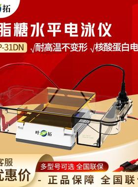 上海DYCP-31DN高透明度聚碳酸酷注塑成型蛋白转印电泳仪