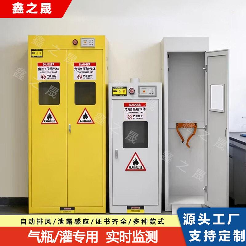 全钢气柜乙炔氧气钢储存柜实验室气体安全柜双防爆煤气柜