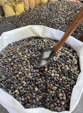 垫层卵20161000吨污水处理铺河道铺装公园石景河卵石观砾石生态装