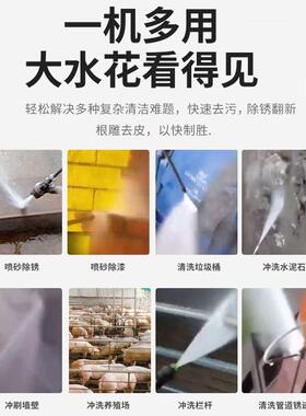 黑猫高压家用21067洗车机型洗车泵全小动刷洗车泵车水枪便携式清