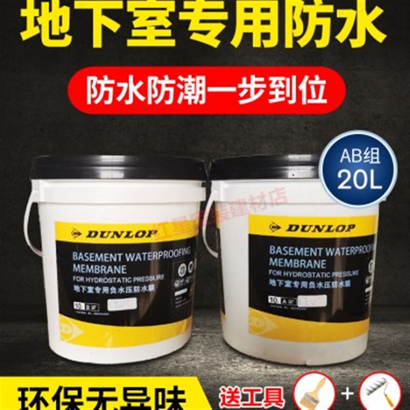 德国邓禄普地下室防水防潮防霉别墅背水面抗渗s专用负压防水涂料