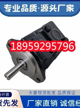 T67BB041R02A1M0VC00丹尼逊DENISON叶片油泵T6C 031 171R03A B C1