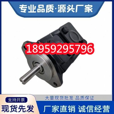 T67BB041R02A1M0VC00丹尼逊DENISON叶片油泵T6C 031 171R03A B C1