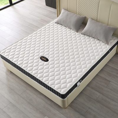 ESC床垫席梦思厚15cm薄款弹簧高箱床垫12公分软硬双面用乳胶棕垫