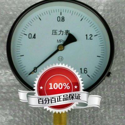 雷尔达压力表 y-100 表盘100mm 压力0-1.6mpa 安装螺纹m20x1.5,五金/工具,压力表,淘宝优惠券,粉丝福利购,淘宝优惠卷