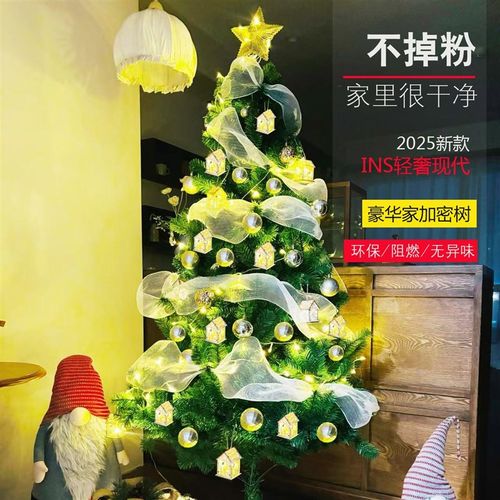 圣诞树家用套餐diy发光大型摆件高级感ins风2024新款圣诞装饰布置