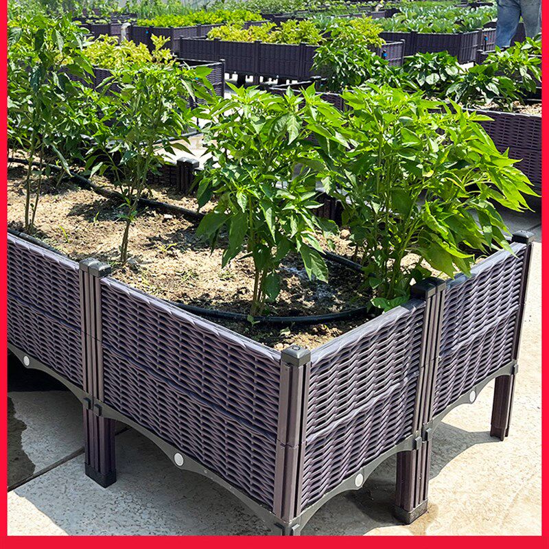 阳台辣椒专用蔬菜种植箱特大加厚长方形户外花箱庭院塑料种菜花盆