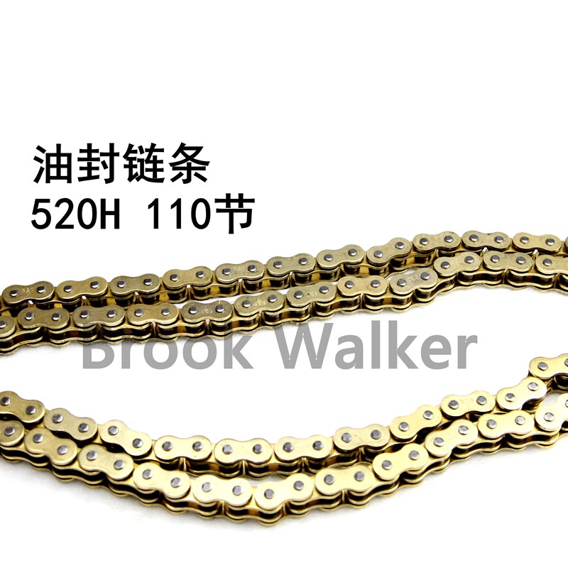 Brook Walker布沃克钜云250机车摩托改装原装哈雷油封链条