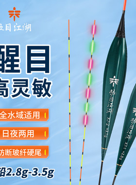 极目江湖X8日夜两用夜光漂高灵敏醒目电子漂硬尾浮漂黑坑野钓鱼漂