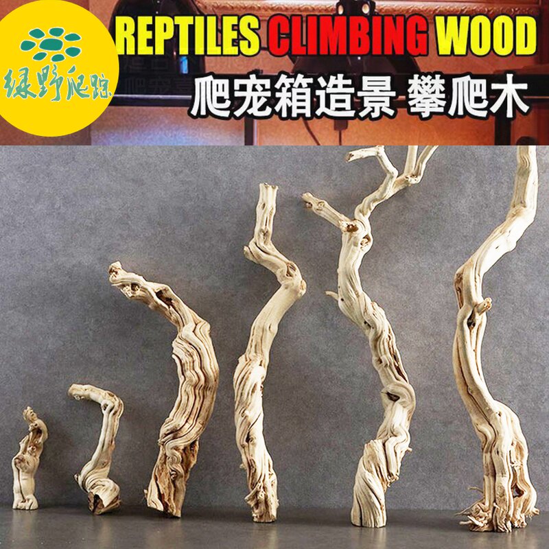 爬虫宠饲养箱造景木鬣鬃狮蜥蜴攀爬睫角守宫变色龙寄居蟹枯木树枝